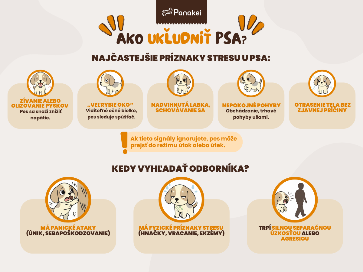 ako-ukludnit-psa (2)